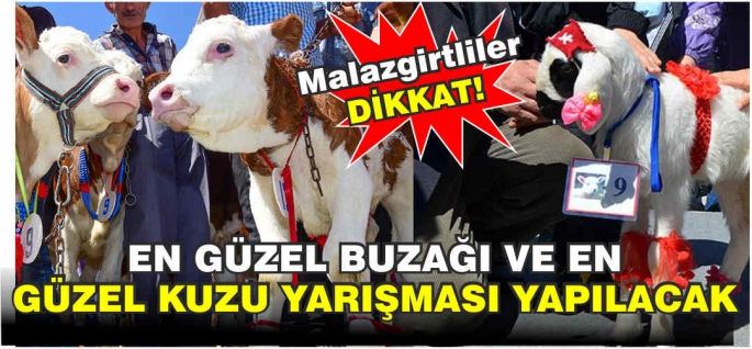 En güzel buzağı ve en güzel kuzu yarışması yapılacak