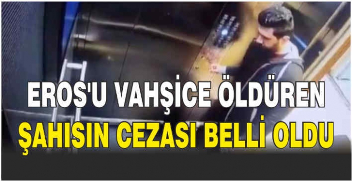 Eros'u vahşice öldüren şahısın cezası belli oldu