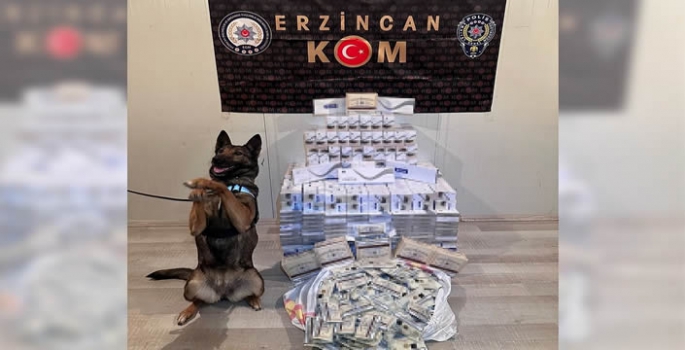 Erzincan'da kaçakçılık operasyonunda 1 şüpheli yakalandı