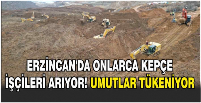 Erzincan'da onlarca kepçe işçileri arıyor! Umutlar tükeniyor