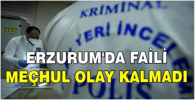 Erzurum'da faili meçhul olay kalmadı