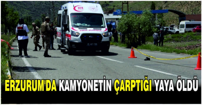 Erzurum'da kamyonetin çarptığı yaya öldü