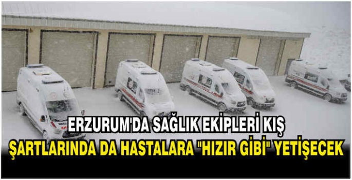 Erzurum'da sağlık ekipleri kış şartlarında hastalara 