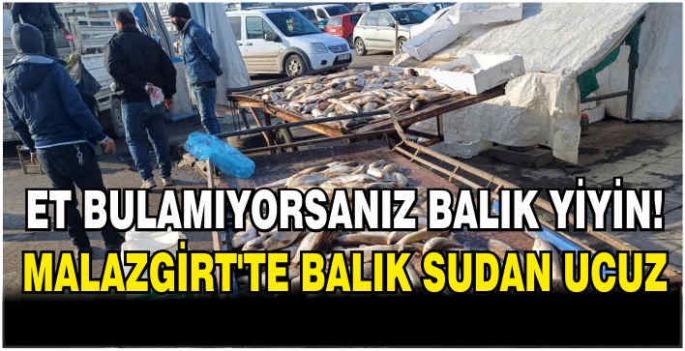 Et bulamıyorsanız balık yiyin! Malazgirt’te balık sudan ucuz!