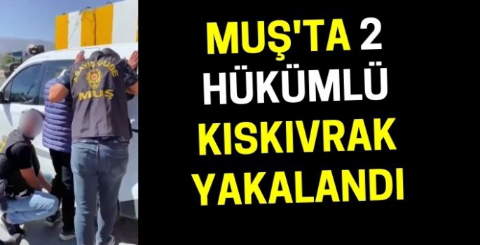 Firar etmişti: Muş'ta 2 hükümlü kıskıvrak yakalandı