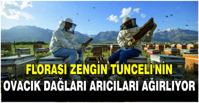 Florası zengin Tunceli'nin Ovacık dağları arıcıları ağırlıyor