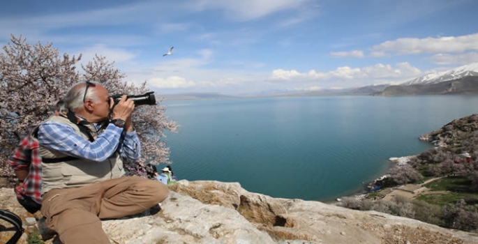 Fotoğrafçılık öğrencileri badem ağaçlarının çiçek açtığı Akdamar Adası'nı görüntüledi