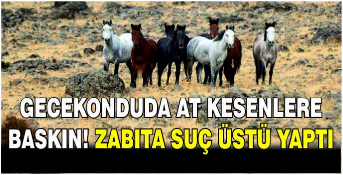 Gecekonduda at kesenlere baskın! Zabıta suç üstü yaptı