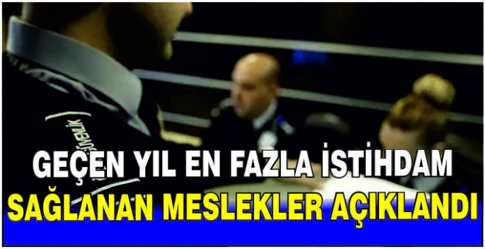 Geçen yıl en fazla istihdam sağlanan meslekler açıklandı