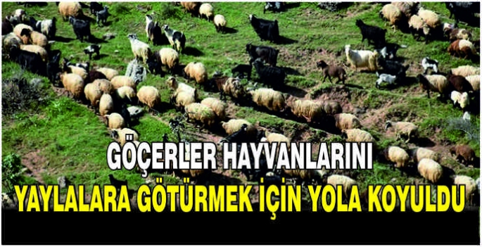  Göçerler hayvanlarını yaylalara götürmek için yola koyuldu