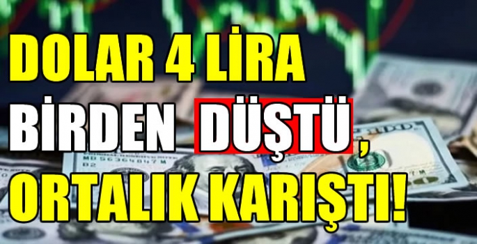 Google yanlışlıkla doları 4 lira birden düşürdü, ortalık karıştı! Şuan kur ne  kadar?