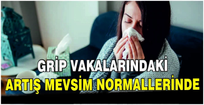 Grip vakalarındaki artış mevsim normallerinde