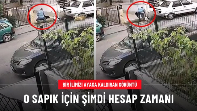 Gündüz vakti sokak ortasında köpeğe tecavüz etti!