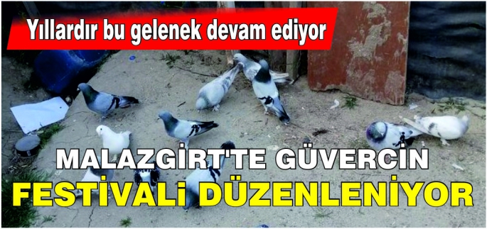 Güvercin severler bu habere dikkat! Malazgirt’te büyük ödüllü yarışmayı kaçırmayın!