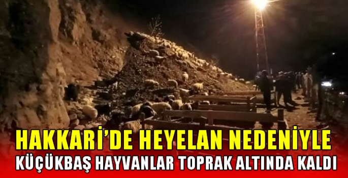 Hakkari'de heyelan nedeniyle küçükbaş hayvanlar toprak altında kaldı