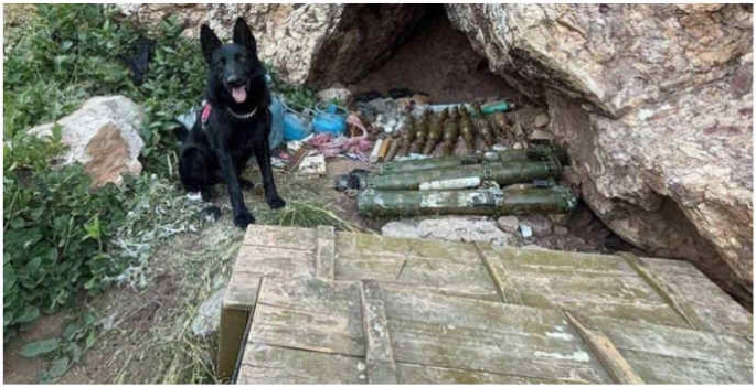 Hakkari'de mühimmat ve patlayıcı düzenekleri ele geçirildi