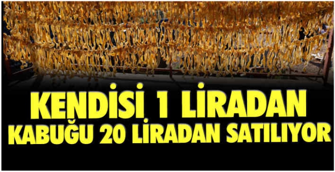 Hasadı başladı: Kendisi 1 liradan, kabuğu 20 liradan satılıyor