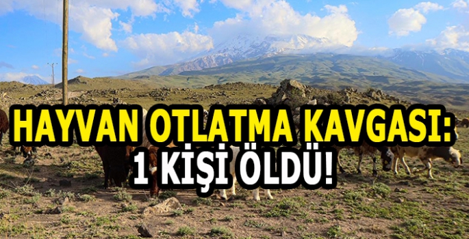 Hayvan otlatma kavgası: 1 Kişi öldü!