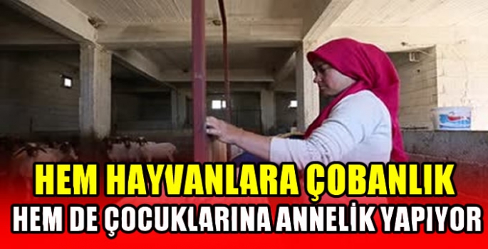 Hem hayvanlara çobanlık hem de çocuklarına annelik yapıyor