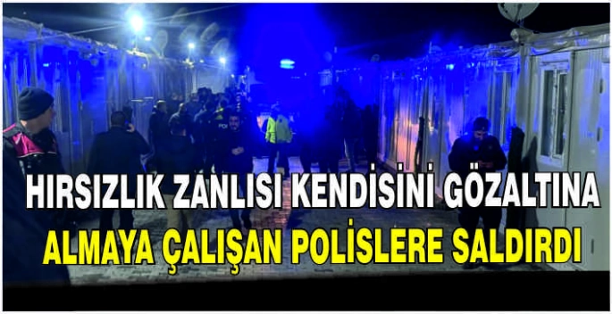 Hırsızlık zanlısı kendisini gözaltına almaya çalışan polislere saldırdı