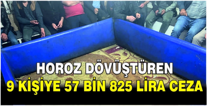 Horoz dövüştüren 9 kişiye 57 bin 825 lira ceza