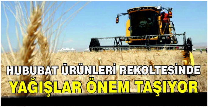 Hububat ürünleri rekoltesinde yağışlar önem taşıyor