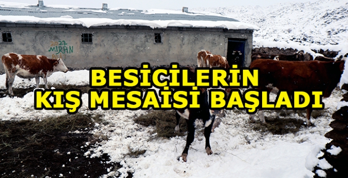 Iğdır'ın dağ köylerindeki besicilerin zorlu kış mesaisi başladı