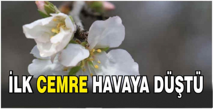 İlk cemre havaya düştü