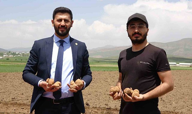 Iraktan döndü, Cilo dağı eteklerinde patates üretimine başladı