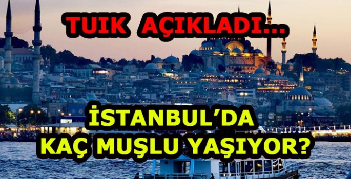 İstanbul’da kaç Muşlu yaşıyor?