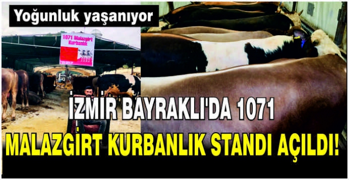 İzmir Bayraklı’da 1071 Malazgirt Kurbanlık standı açıldı! Yoğunluk yaşanıyor