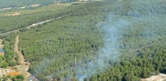 İzmir Buca'da çıkan orman yangını 40 dakikada kontrol altına alındı