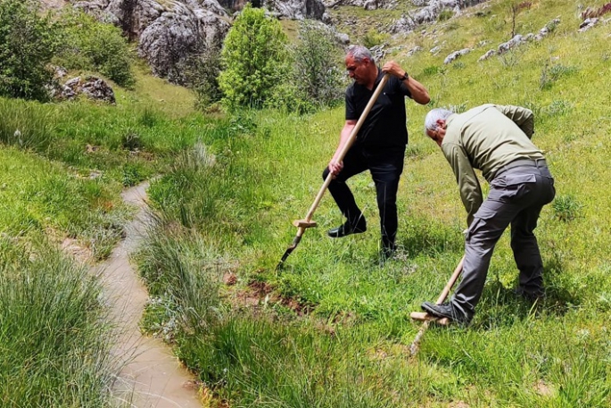 Kaçak salep sağanı toplayanlara ceza yağdı