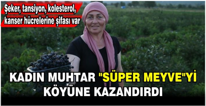 Kadın muhtar 