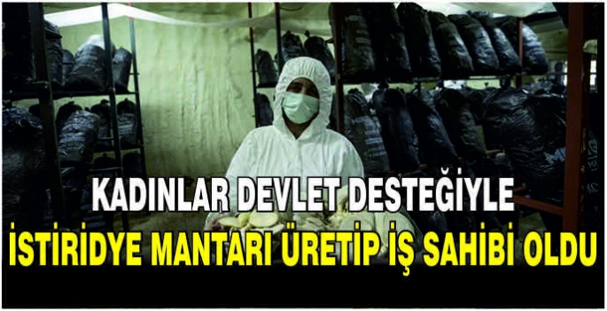 Kadınlar devlet desteğiyle istiridye mantarı üretip iş sahibi oldu