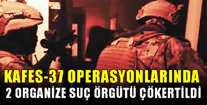 Kafes-37 operasyonlarında 2 organize suç örgütü çökertildi