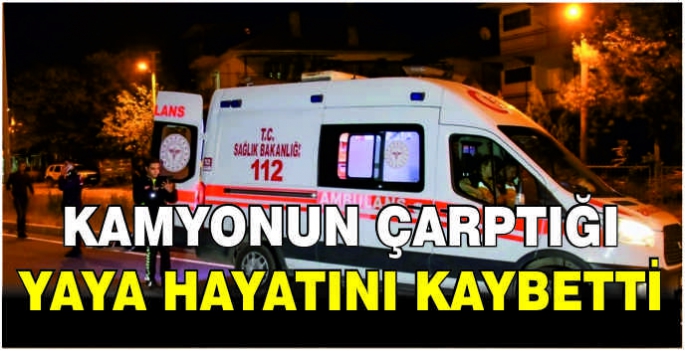 Kamyonun çarptığı yaya hayatını kaybetti