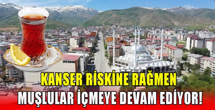 Kanser riskine rağmen Muşlular içmeye devam ediyor! 