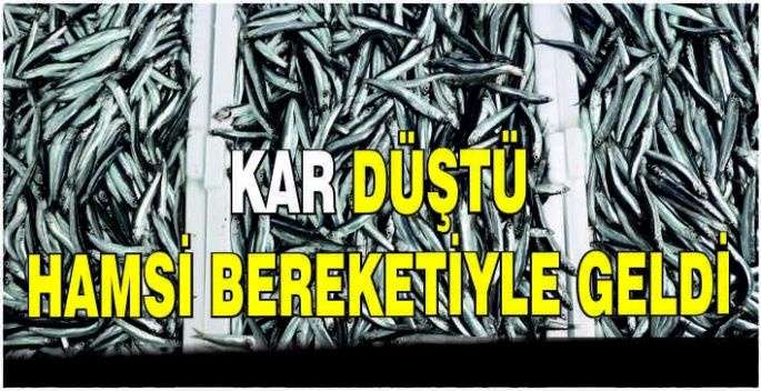 Kar düştü hamsi bereketiyle geldi