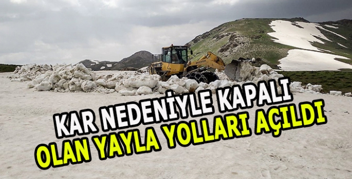 Kar nedeniyle kapalı olan yayla yolları açıldı