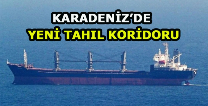 Karadeniz'de yeni tahıl koridoru: Gemiler ilk kez o güzergahı kullandı