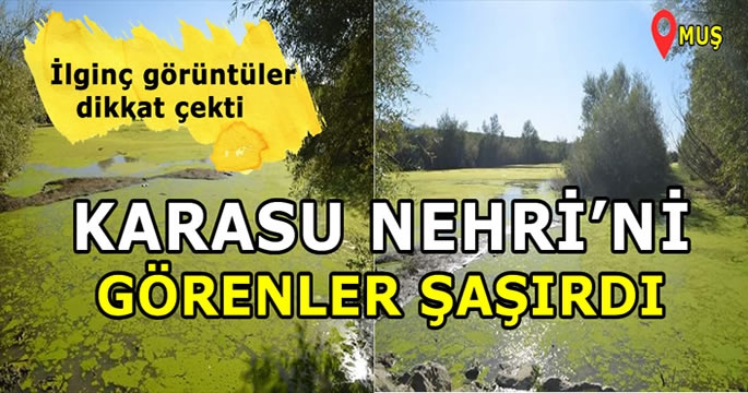 Karasu Nehri'nin yüzeyindeki tabakayı görenler şaşırdı