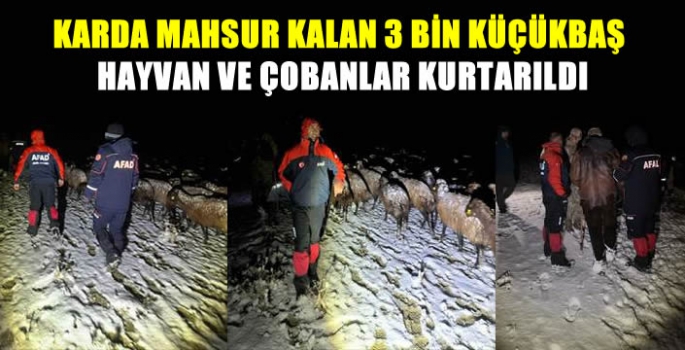 Karda mahsur kalan 3 bin küçükbaş hayvan ve çobanlar kurtarıldı