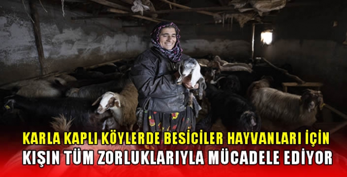 Karla kaplı köylerdeki besiciler hayvanları için kışın tüm zorluklarıyla mücadele ediyor