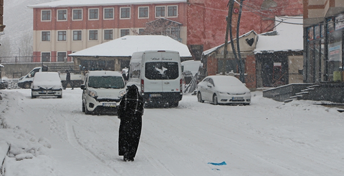 Karlıova'da kar yağışı etkili oldu