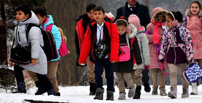 Kars, Ardahan ile Ağrı'da kar ve sis etkili oldu