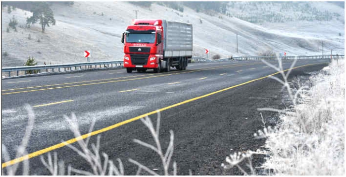 Kars, Ardahan ve Erzurum'da soğuk hava ve kırağı etkili oldu