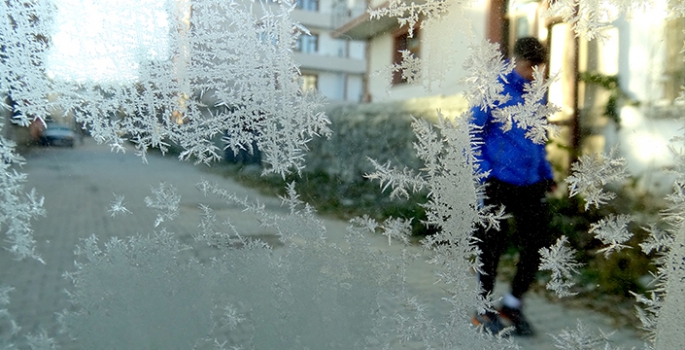 Kars ile Ardahan'da soğuk hava ve kırağı etkili oldu