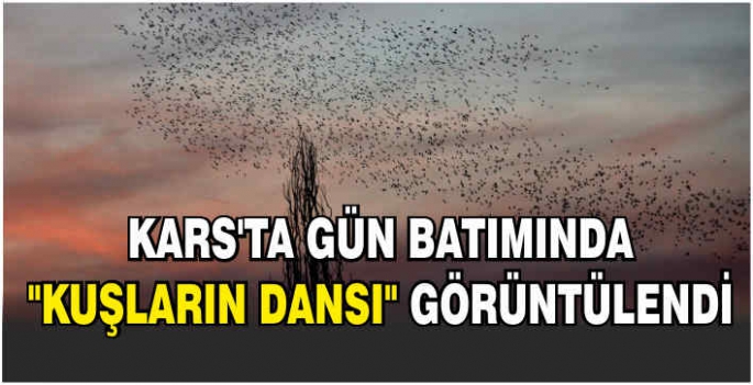 Kars'ta gün batımında 