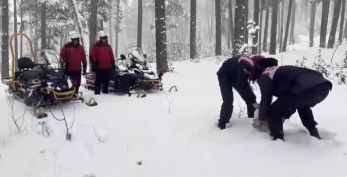 Kars'ta jandarma ekipleri doğada yemleme yaparken kaçak avlanan kişiyi yakaladı